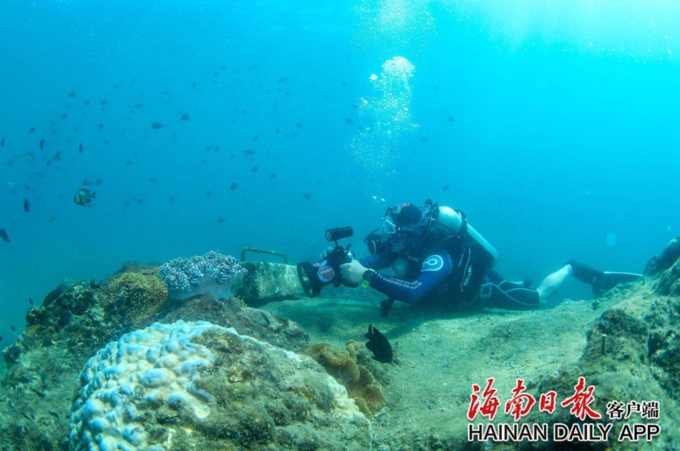 卡通骆驼救援
